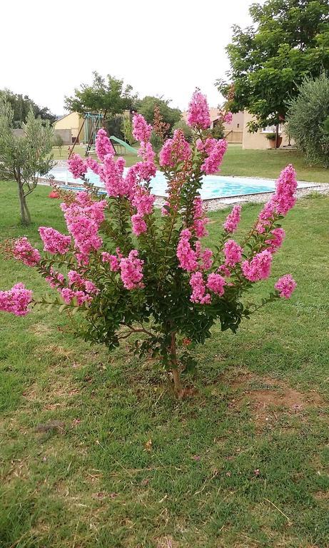 Séguret La Bastide De Lily 빌라 외부 사진